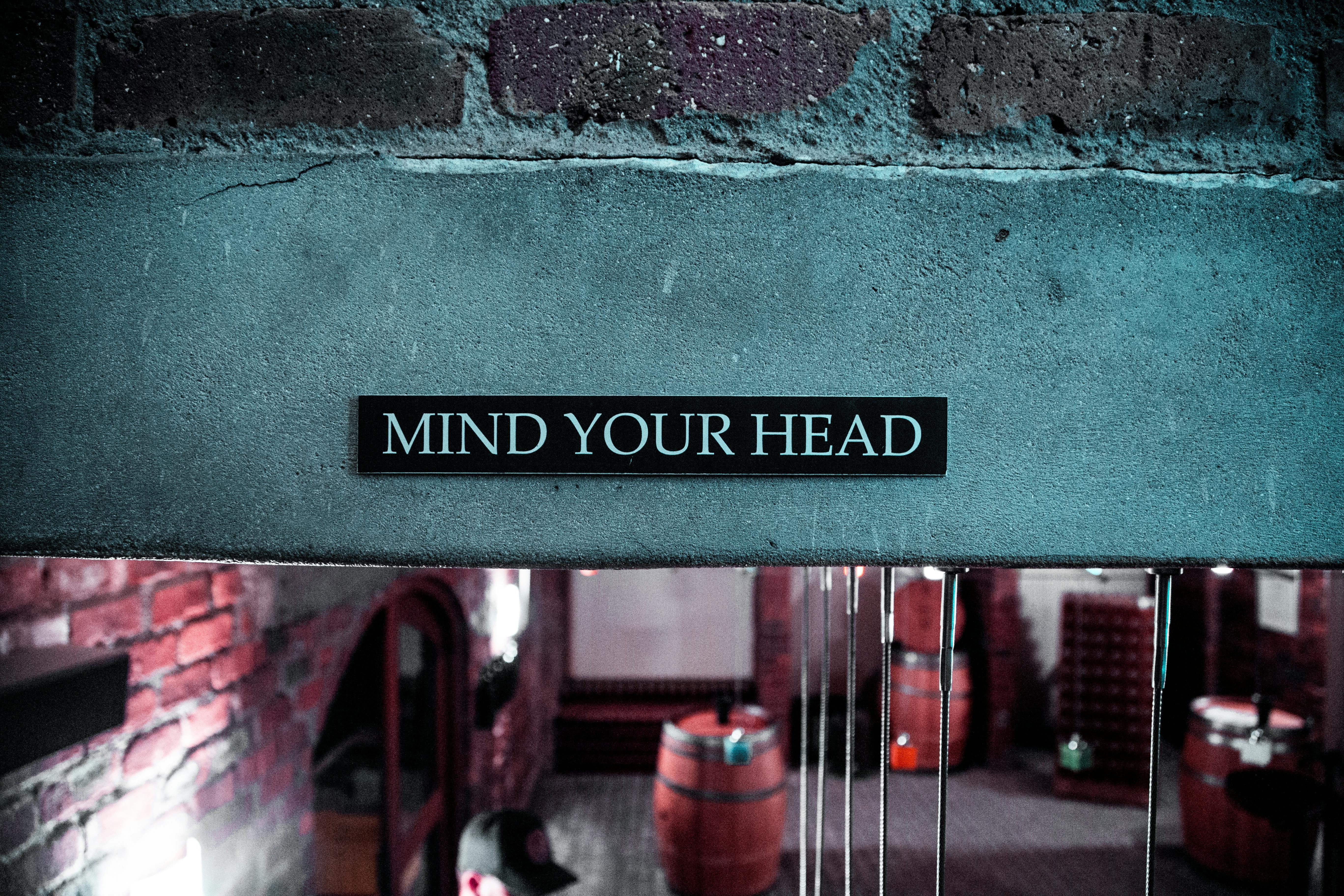 mindhead.jpg